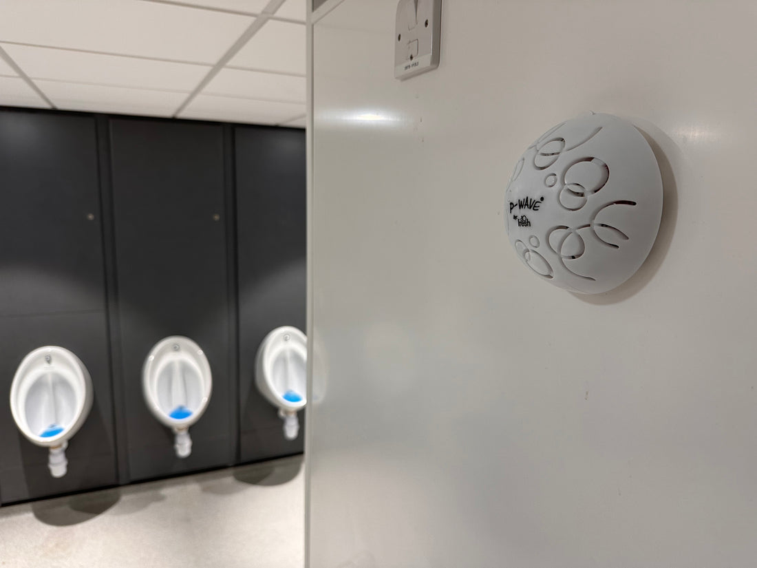 Dry Fragrance Air Fresheners: A Greener Alternative to Aerosols