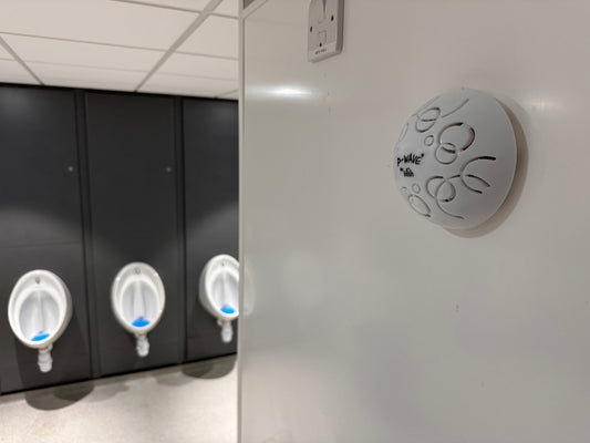 Dry Fragrance Air Fresheners: A Greener Alternative to Aerosols