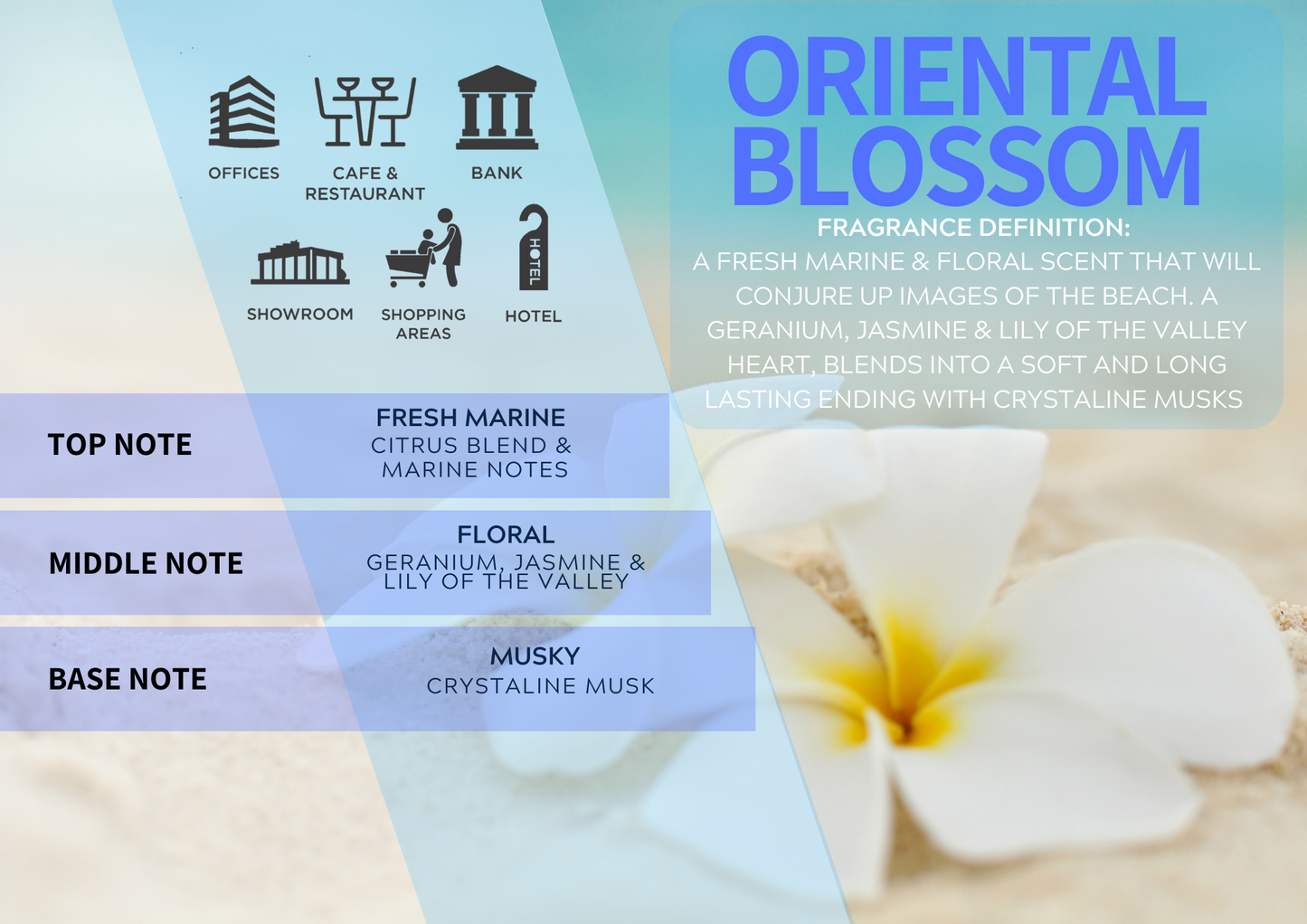 An Image describing Oriental Blossom Fragrance: A FRESH MARINE & FLORAL SCENT THAT WILL CONJURE UP IMAGES OF THE BEACH. A GERANIUM, JASMINE & LILY OF THE VALLEY HEART, BLENDS INTO A SOFT AND LONG LASTING ENDING WITH CRYSTALINE MUSKS 