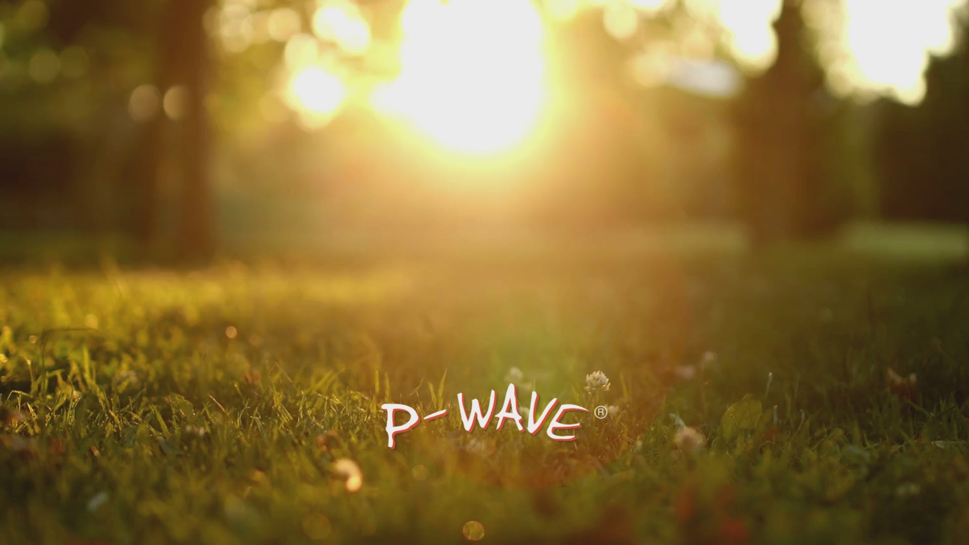 Load video: P-Wave Sustainability video
